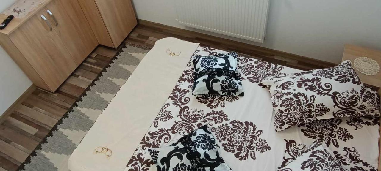 הוילה מויסי Casuta Din Livada מראה חיצוני תמונה